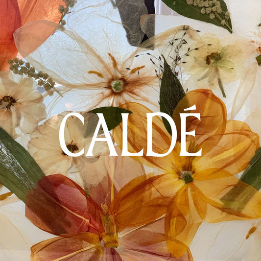 Caldé : la marque française qui réinvente le parfum d’intérieur